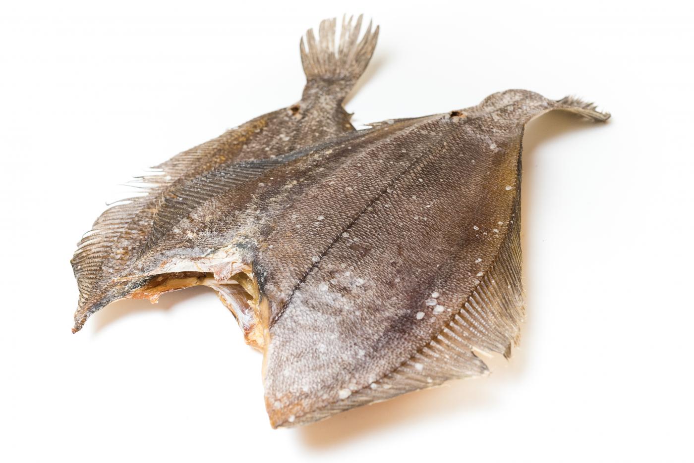 Flounder ruff, dried headless, medium dried, medium salt